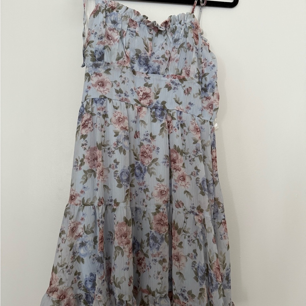 Trixxi Floral Ruffle Dress in Blue and Pink